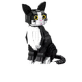 Gato Preto e Branco | 801PCS - imagem principal