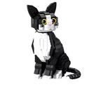 Gato Preto e Branco | 801PCS - imagem principal