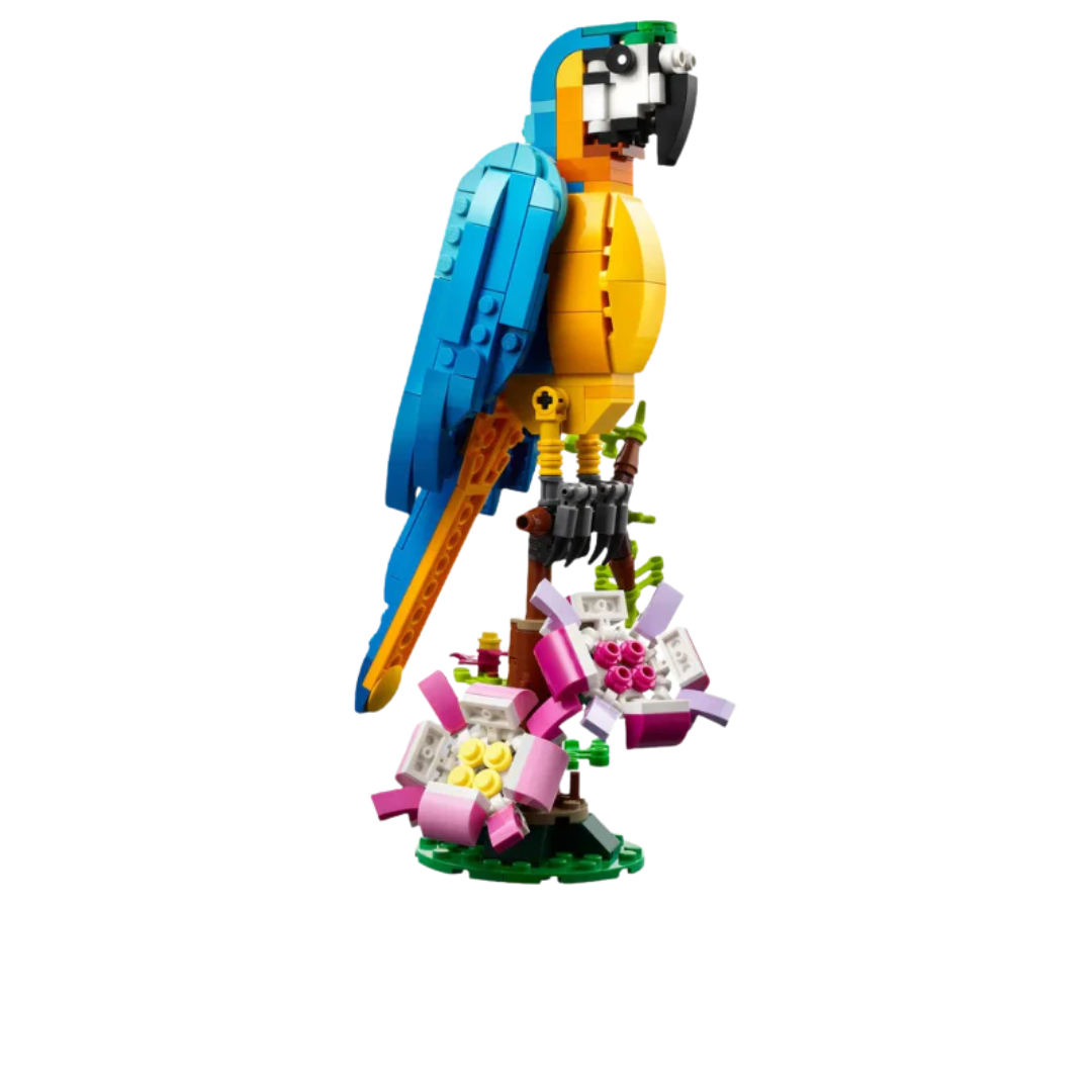 Papagaio | 253PCS